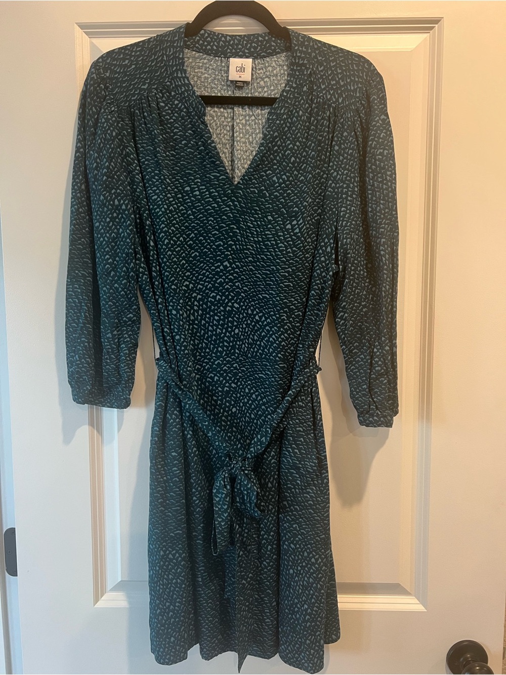 CAbi Whimsy Teal Printed A Line Dress #5025
